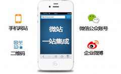 手機(jī)網(wǎng)站目前優(yōu)化有哪些技巧？/